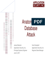 DB Audit 2011-06 Pre - Anatomy DB Attack.pdf