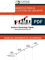 Fundamentos para El Crecimiento Exitoso de Una Mype: Gustavo Samaniego Tejeda