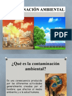 Presentación Contaminación Ambiental