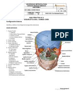 Esqueleto Axial