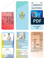 Triptico de Galaptosemia