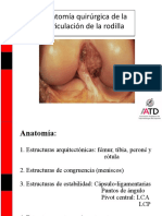 Anatomía Quirúrgica de La Articulación de La Rodilla