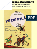 2-Pé Pilão PDF