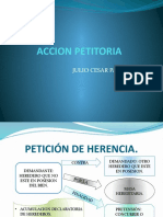 Accion Petitoria