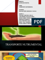 Tranportacion Nutrimental
