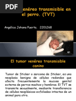 Reflejo Tusigeno | PDF | Tos | Enfermedades y trastornos