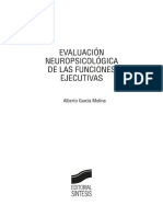 Evaluación de Las Funciones Ejecutivas - Alberto García Molina PDF