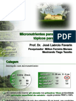 MicronutrienteparaoCafeeiroJLFavarin.pdf
