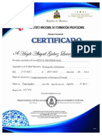 Certificado de Etica Profesional PDF