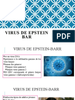 Virus de Epstein Barr