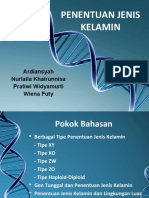 PPT DNA kelompok 1