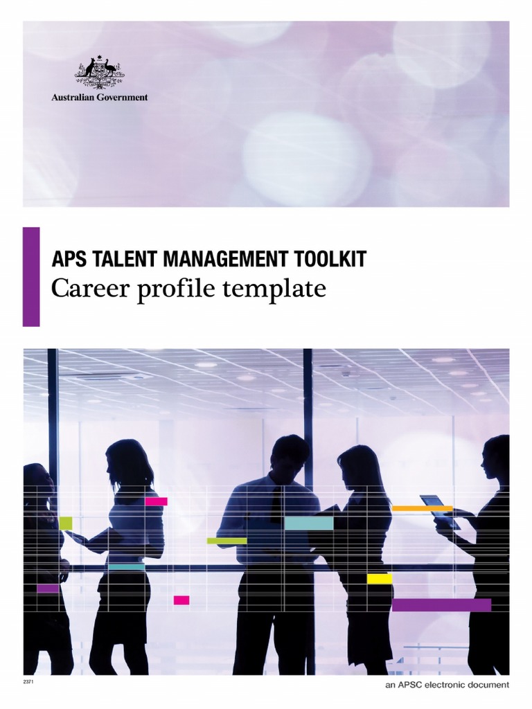 Career Profile Example Template | PDF | Business | Labour