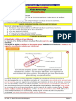 Guía 602-603-604-606 Ciencias Naturales