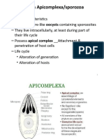 Phylum Apicomplexa/sporozoa