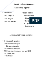 Cutaneous Leishmaniasis: Causative Agents