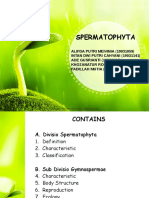 Spermatophyta: Group 3
