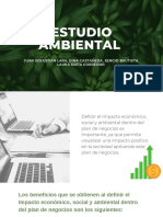 Estudio Ambiental PDF