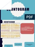 Sheryna (b-21 - ODONTOGRAM)