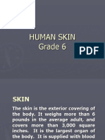 Human Skin Grade 6