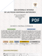 1 Morfologia Externa e Interna de Piezas Dentarias Anteriores