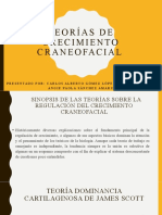 Teorías de Crecimiento Craneofacial Expo