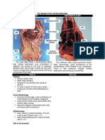 Surgical Pathology - Telangecteic