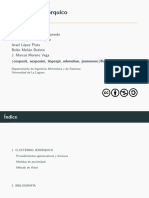 Clustering Jerarquico PDF