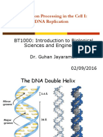 2-BT1000-Lec12 DNA Replication - I