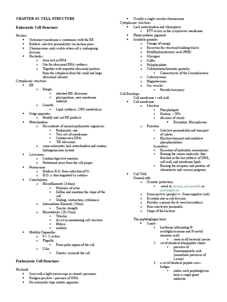 Chapter #2: Cell Structure Eukaryotic Cell Structure:: Murein ...
