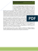 Estrategias paraguas y deliberadas para la transformación de una entidad cooperativa