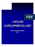 Developement Dent