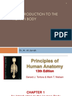 Introduction To Human Body