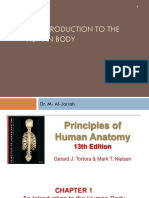 Introduction to the Human Body