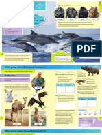 animal classification.pdf