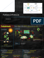 PIZARRA BIOLOGÍA 4TO Fotosíntesis