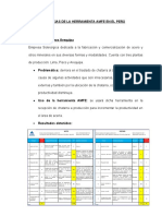 Experiencias de La Herramienta Amfe en El Perú