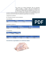 Pavo correcciones