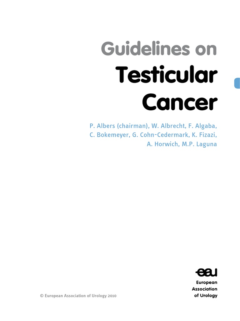 Guidelines On Testicular Cancer PDF Radiation Therapy Ct Scan