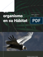 Cóndor andino hábitat características