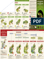 Guia de ranas arboricolas.pdf