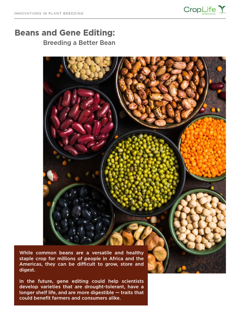 Beans and Gene Editing Breeding A Better Bean PDF Bean Soybean