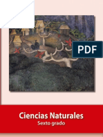 CN 6 Baja PDF