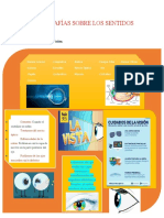 Infografías Sobre Los Sentidos