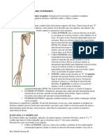 ESQUELETO EXTREMIDAD SUPERIOR