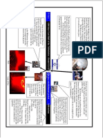 Secondcomingchart PDF