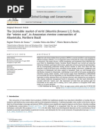 Sousa et al. 2018 - The (in)visible market of miriti (Mauritia flexuosa L.f.) fruits,