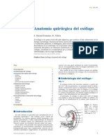 Anatomia quirurgica del esofago.pdf