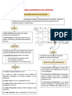 Anatomía Quirúrgica Del Esófago