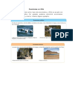 Ecosistemas en Chile PDF