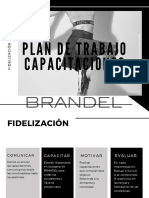 PROYECCIÓN 2020 BRANDEL